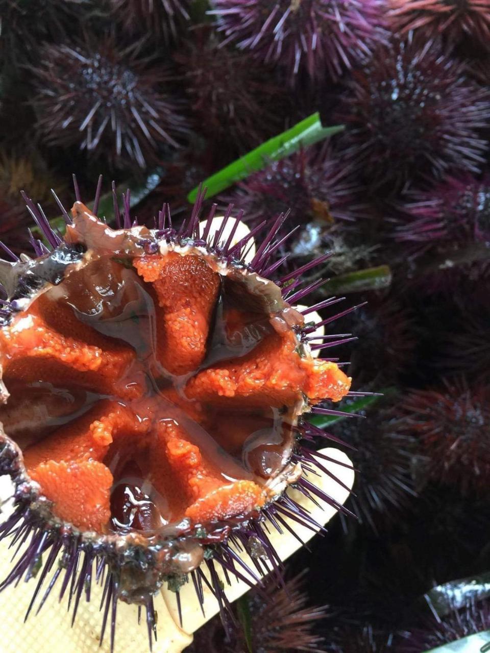 36 Passi Dal Mare Alojamento de Acomodação e Pequeno-almoço